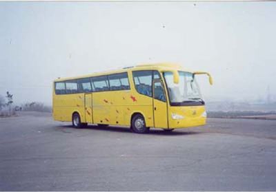 Shuchi  YTK6121A coach