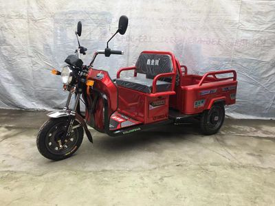 Xinjinfeng  XJF1500DZHA Electric tricycle