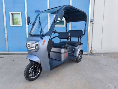 Daima  DM800DZK4 Electric tricycle