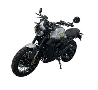 Qidian  KD200GK3 Two wheeled motorcycles