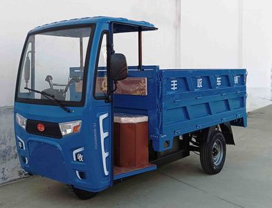 Fengshou  FS2200DZH2J Electric tricycle