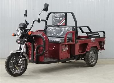 Shuangsheng  SS1500DZH12D Electric tricycle