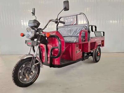 Shuangsheng  SS1500DZH12D Electric tricycle