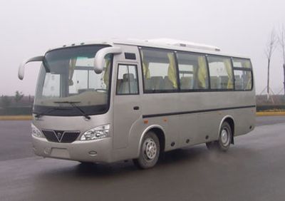 Mustang SQJ6800B1D3 coach