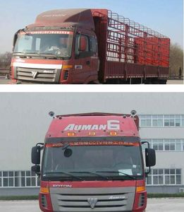 Ouman  BJ5317CCYXA Grate type transport vehicle