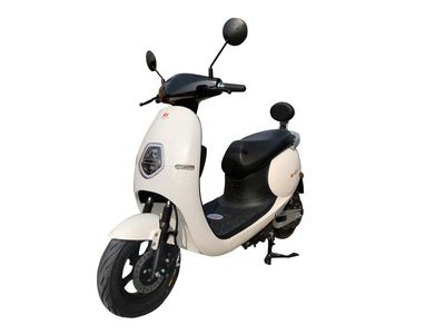 Dayang  DY800DT Electric two wheeled motorcycle