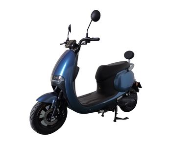 Dayang  DY800DT Electric two wheeled motorcycle