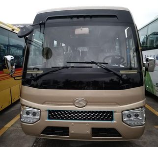 Jinlong  XMQ6606DYD5D coach