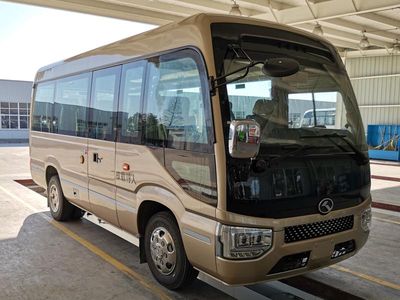 Jinlong  XMQ6606DYD5D coach