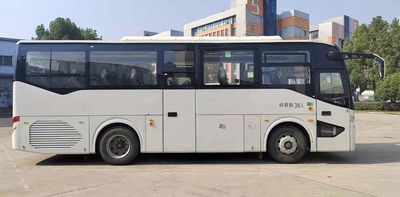 Ankai  HFF6900N8D6Y coach