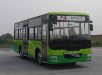 Shaolin SLG6898T4GECity buses