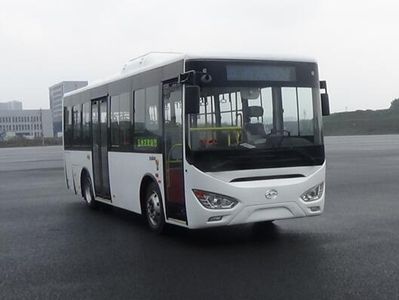 Wuzhoulong  WZL6853EVG Pure electric city buses