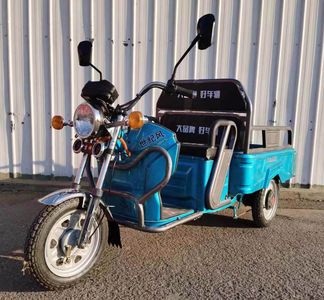 Century Wind  SJF1500DZHF Electric tricycle