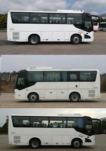 Shenlong brand automobile SLK6803GLD5 coach