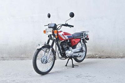 Sanxin  SX12522 Two wheeled motorcycles