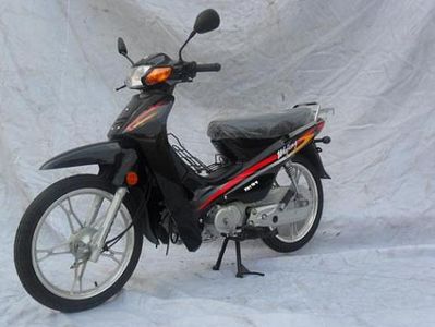 Guangfeng AutomobileFG110VTwo wheeled motorcycles