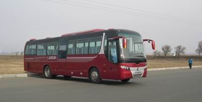 Huanghai  DD6119K51 coach