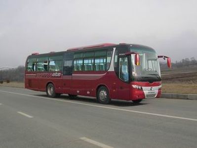 Huanghai  DD6119K51 coach