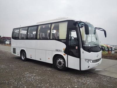 HagridKLQ6856KQE50coach