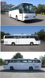 Northern  BFC6120L1D6 Luxury tourist buses