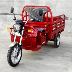 Shengshida  SSD1200DZH2 Electric tricycle