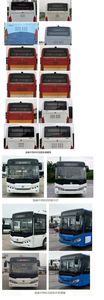 Chinese license plate cars TEG6852BEV07 Pure electric city buses