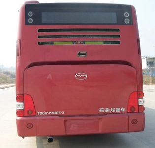 Wuzhoulong  FDG6123NG52 City buses