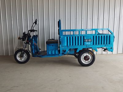 Jinxun  JX1200DZHS5 Electric tricycle