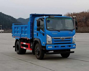 Shitong  STQ3166L03Y2N6 Dump truck