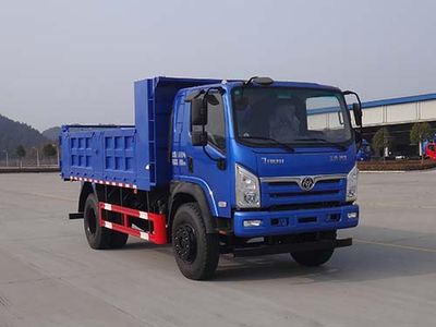 Shitong  STQ3166L03Y2N6 Dump truck