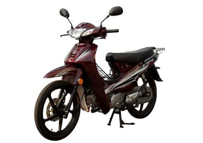 Feihu  FH110A Two wheeled motorcycles