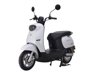 Emma  AM1000DT20 Electric two wheeled motorcycle