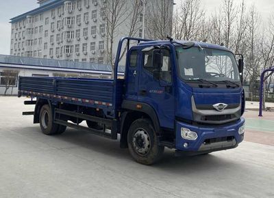 Foton  BJ1164VKPFN01 Truck