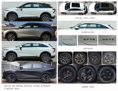 Haval CC6480AL21A multi-purpose vehicle 