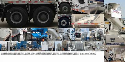 Ruijiang  WL5310GJBCAG6NDT Concrete mixing transport vehicle