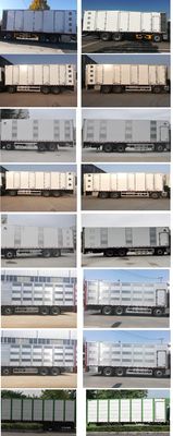 Hongyu  HYZ5310CCQDF Livestock and poultry transport vehicles