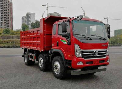 Ace car CDW3243A1R6B Dump truck