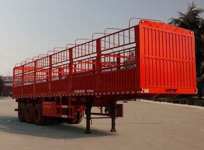 Enxin Business Brand Automobile HEX9407CCY Gantry transport semi-trailer