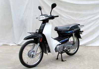 Luojia LJ1102CTwo wheeled motorcycles