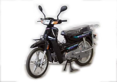 Luojia  LJ1102C Two wheeled motorcycles