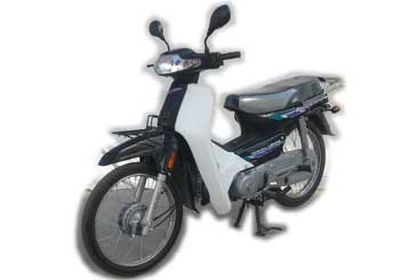 Luojia  LJ1102C Two wheeled motorcycles