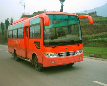 Dayu  DYQ6750B1 coach