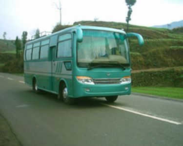 Dayu  DYQ6750B1 coach