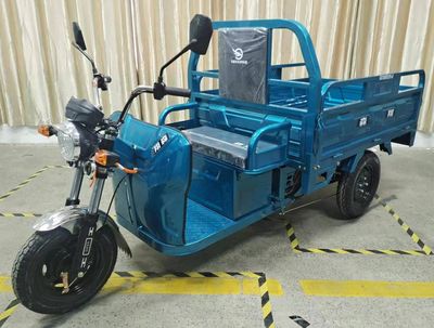 Senxiang  SX1000DZH6 Electric tricycle