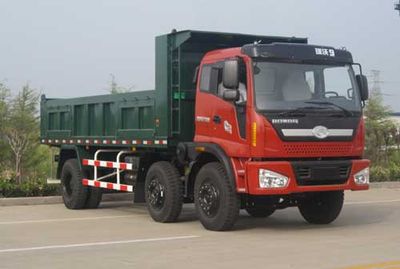 Foton  BJ3163DJPHB2 Dump truck