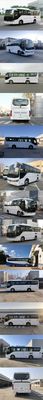 Foton  BJ6906U6AHBN1 coach