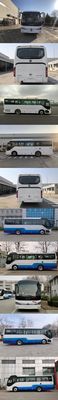 Foton  BJ6906U6AHBN1 coach