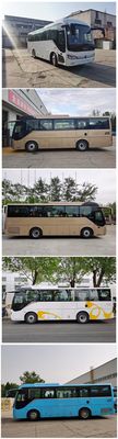 Foton  BJ6906U6AHBN1 coach