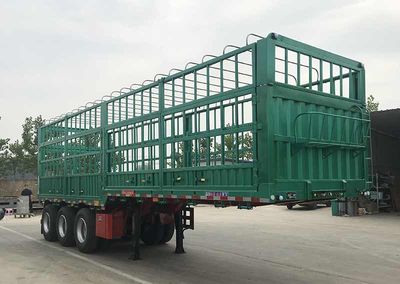 Tuqiang  TQP9404CCYE Gantry transport semi-trailer