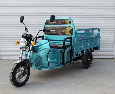 Donglong  DL1500DZH Electric tricycle